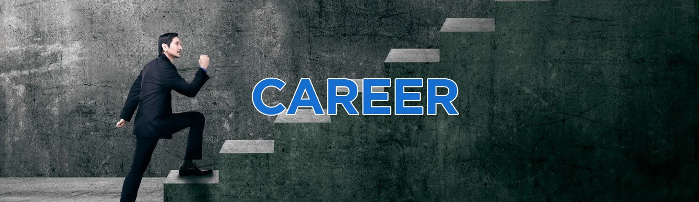 Career