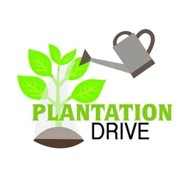 plantation drive
