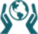 icon 1